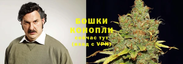 амф Богородск