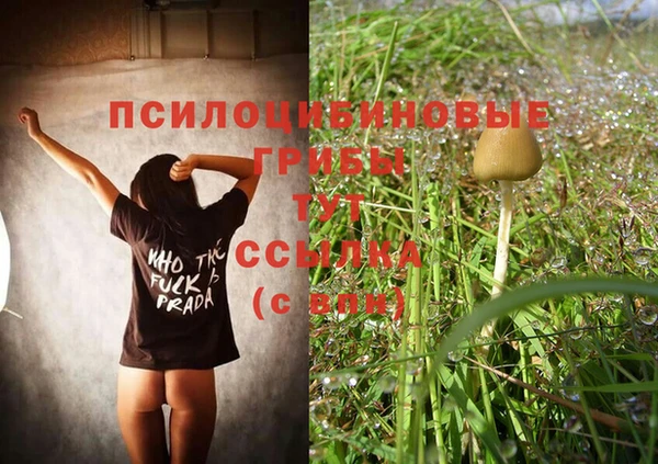 кокаин Богданович