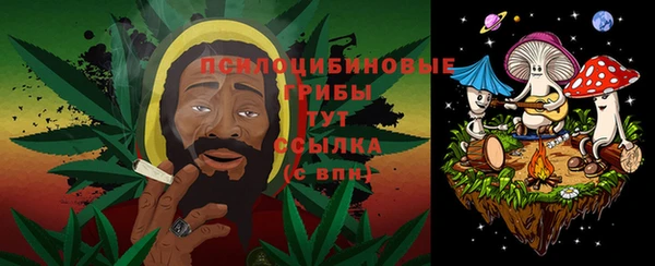 кокаин Богданович
